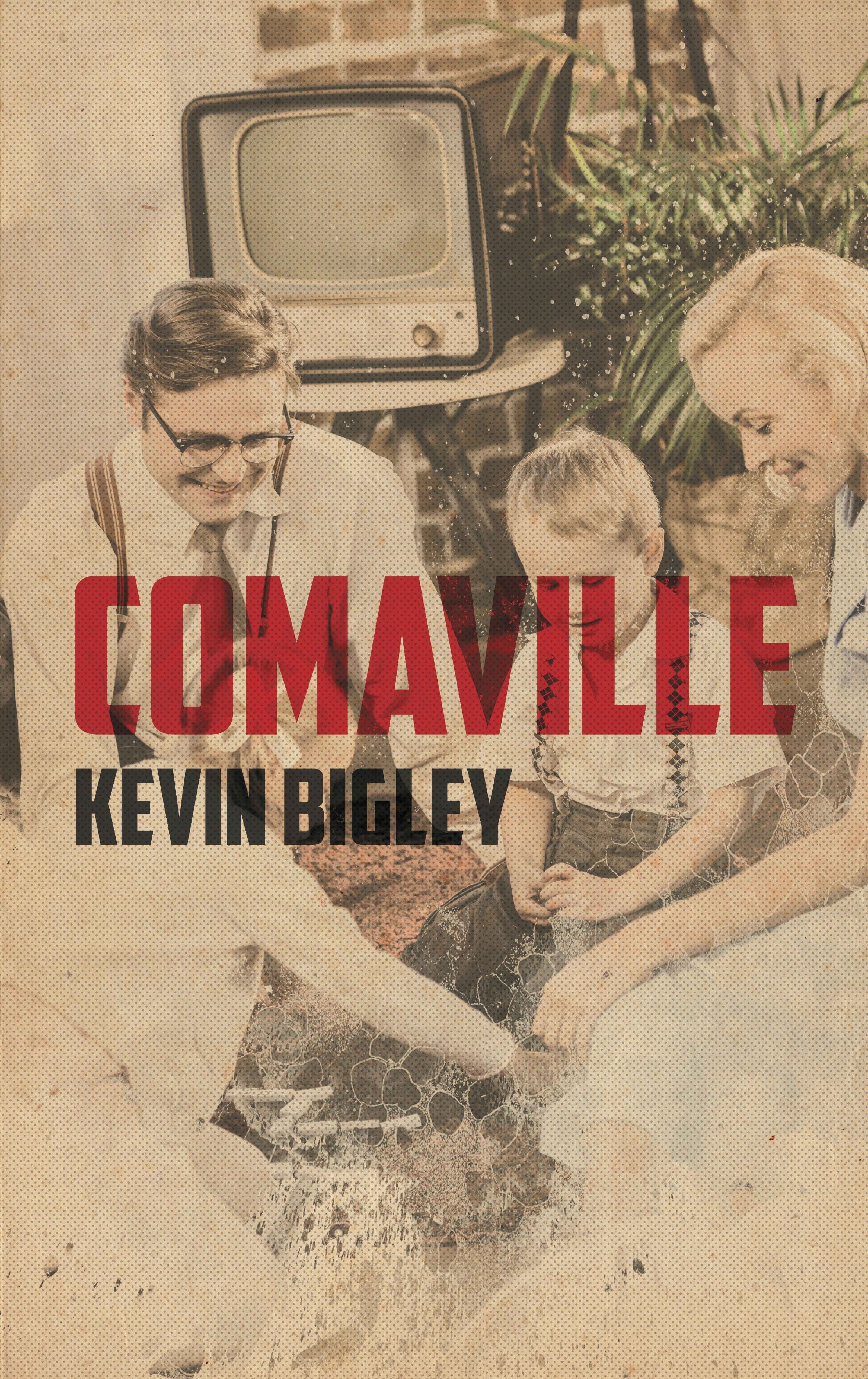 Cover image for Comaville ISBN 9781944866532